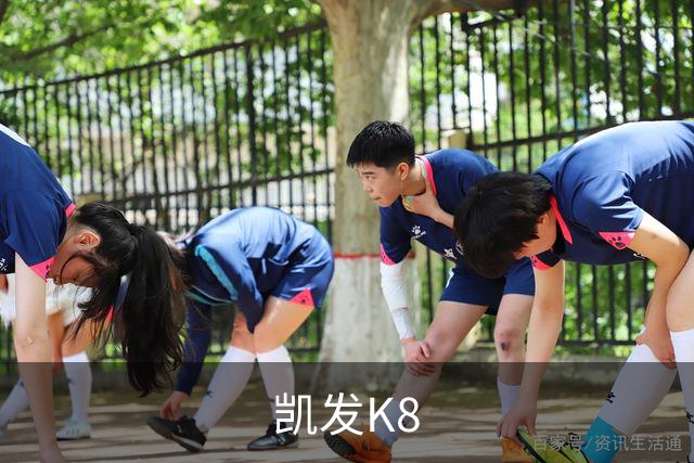 凯发K8品牌展示图